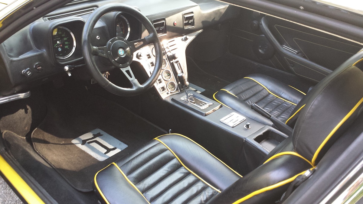 Pantera Interior