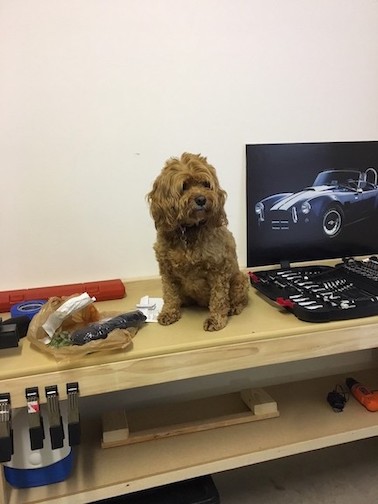 helper