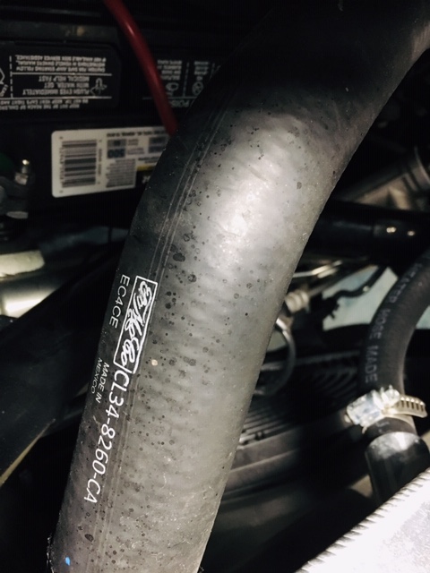 Upper Rad Hose   2