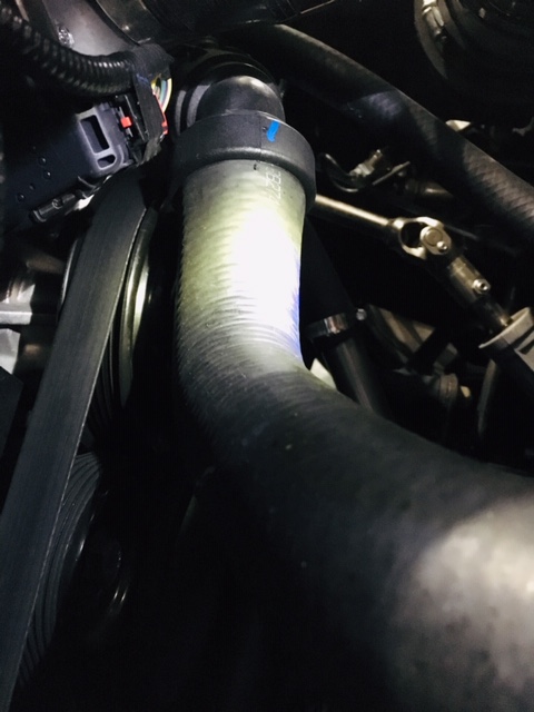 Upper Rad Hose   6