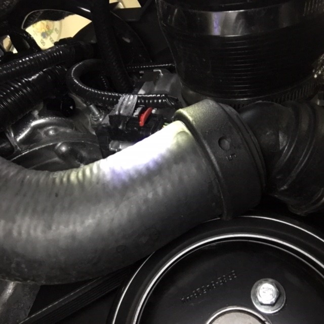 Upper Rad Hose   7