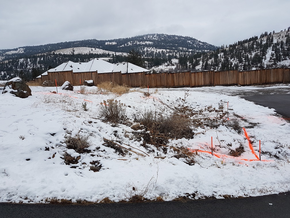 site resized