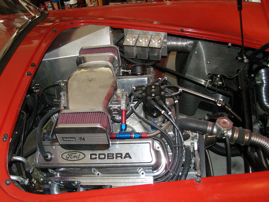 Cobra Pics 8 21 12 001