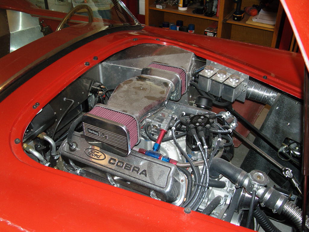 Cobra Pics 8 21 12 003