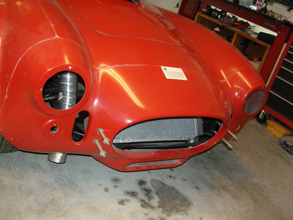 Cobra Pics 8 21 12 007