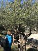 IMG 5399
