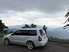 IMG 6880