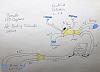 FFR Forum Brandle Update   105