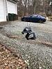 IMG 8479