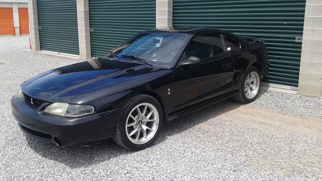donor resized