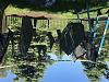 IMG 4573