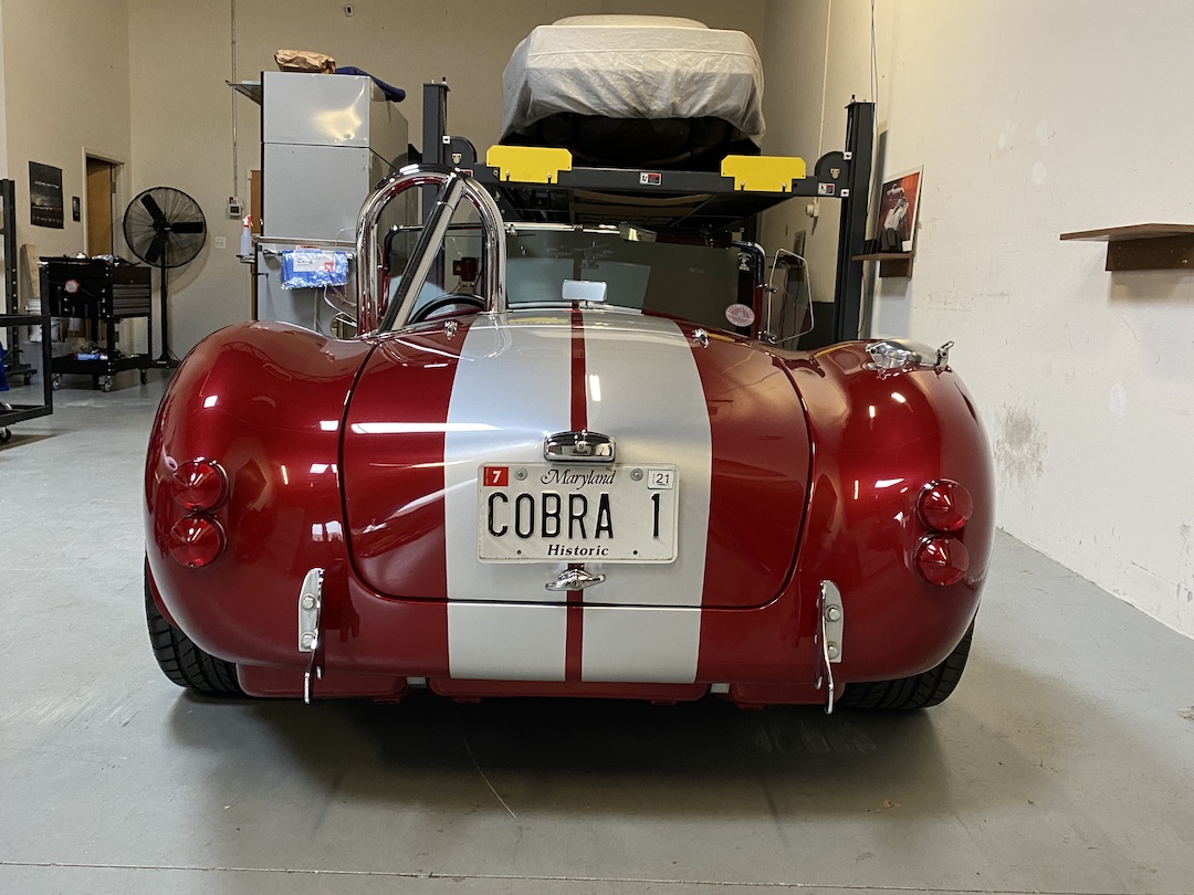 Cobra back small