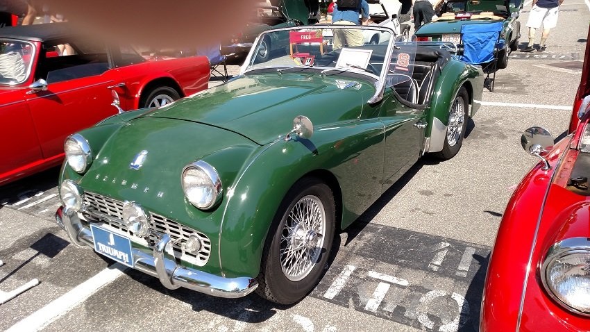 TR3A