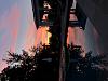 IMG 7146