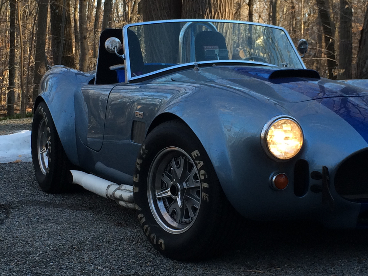 cobra 6