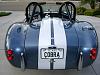 Cobra rear
