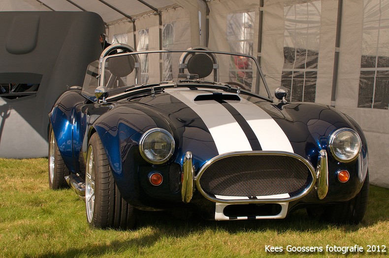 TerBraak European cobra event