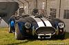 TerBraak European cobra event
