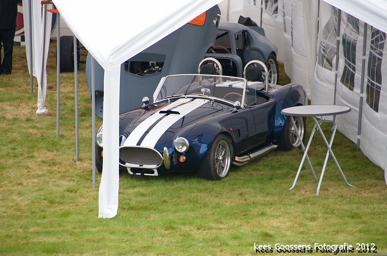 TerBraak European cobra event