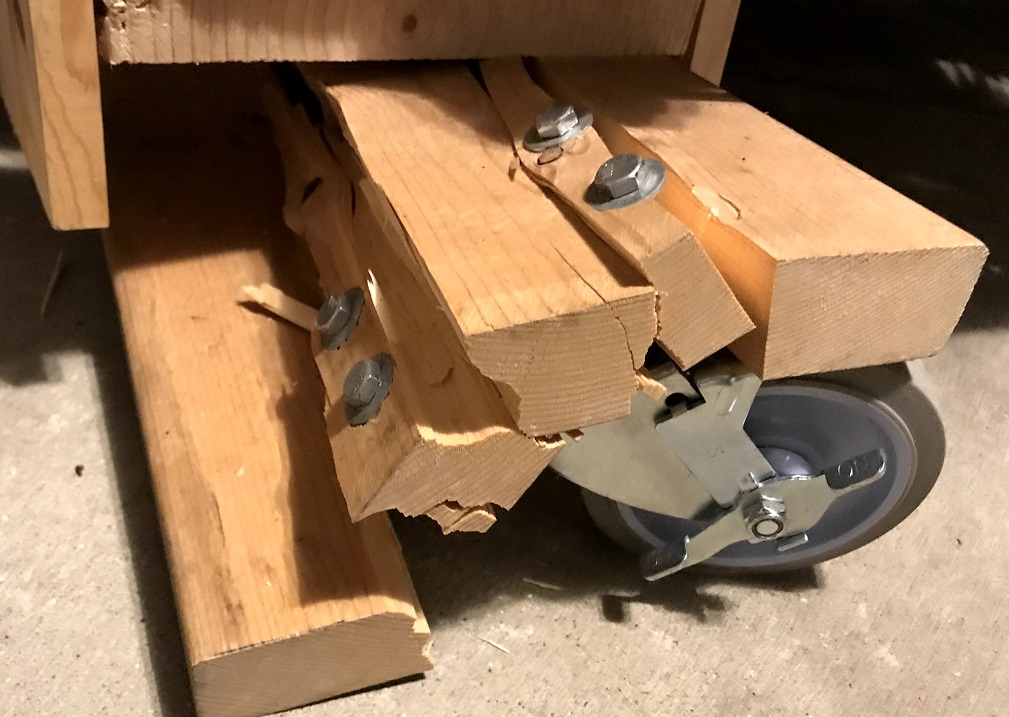 Dolly Damage  1a