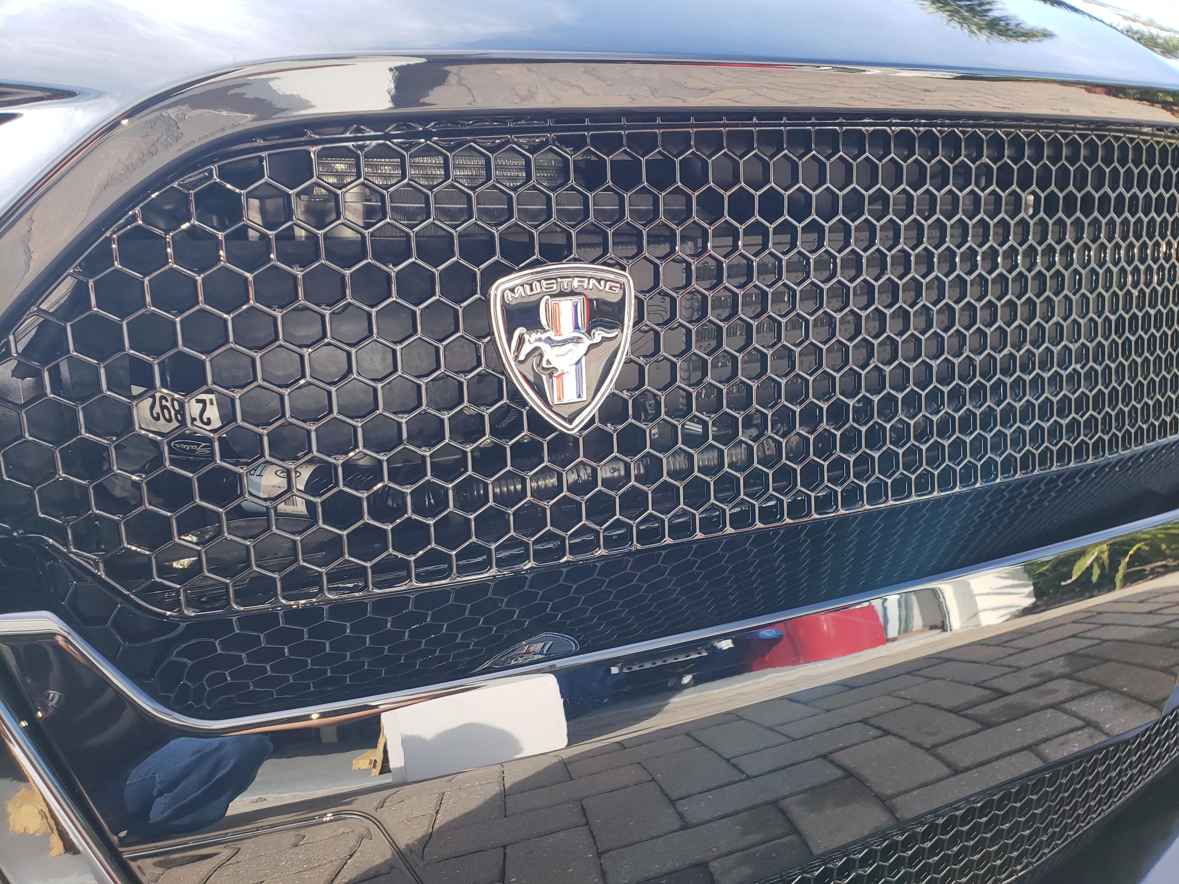 GT500 grill