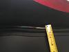 IMG 6479