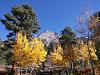 IMG 20161015 100031