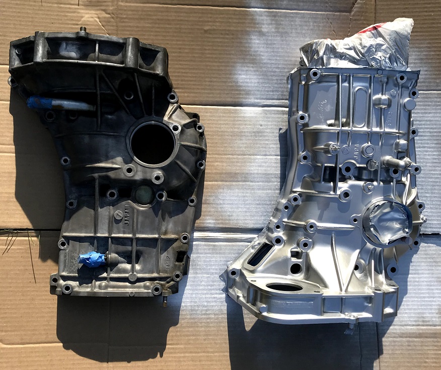 Case Halves Painted  1a