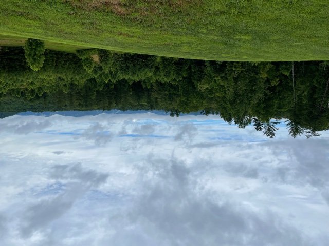 IMG 0317
