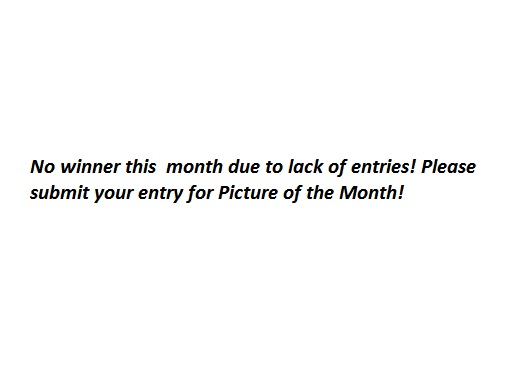 No Winner This Month... :(