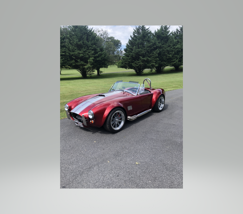 cobra22
