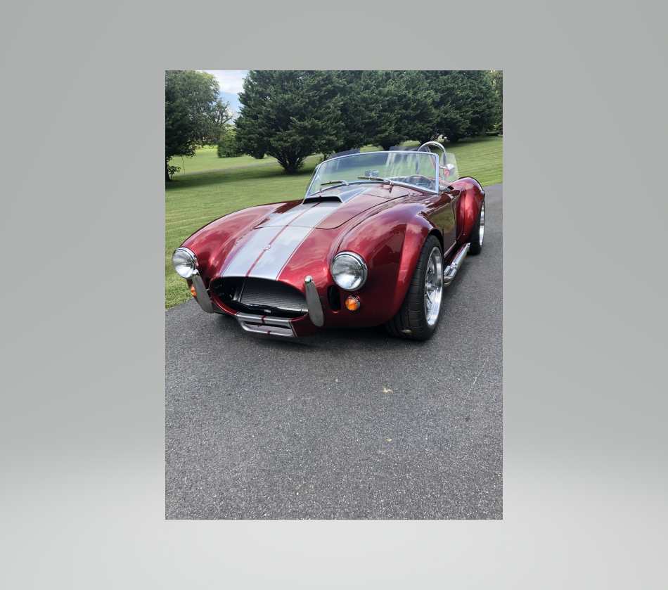 cobra23