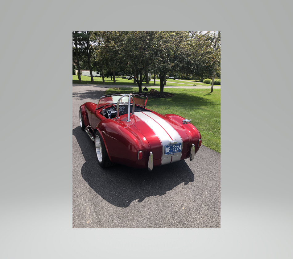 cobra24