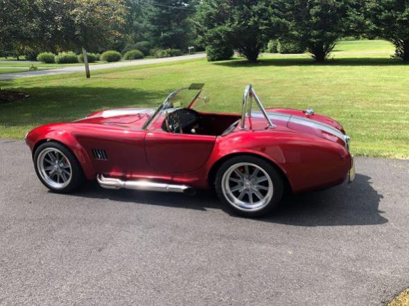 cobra (4)