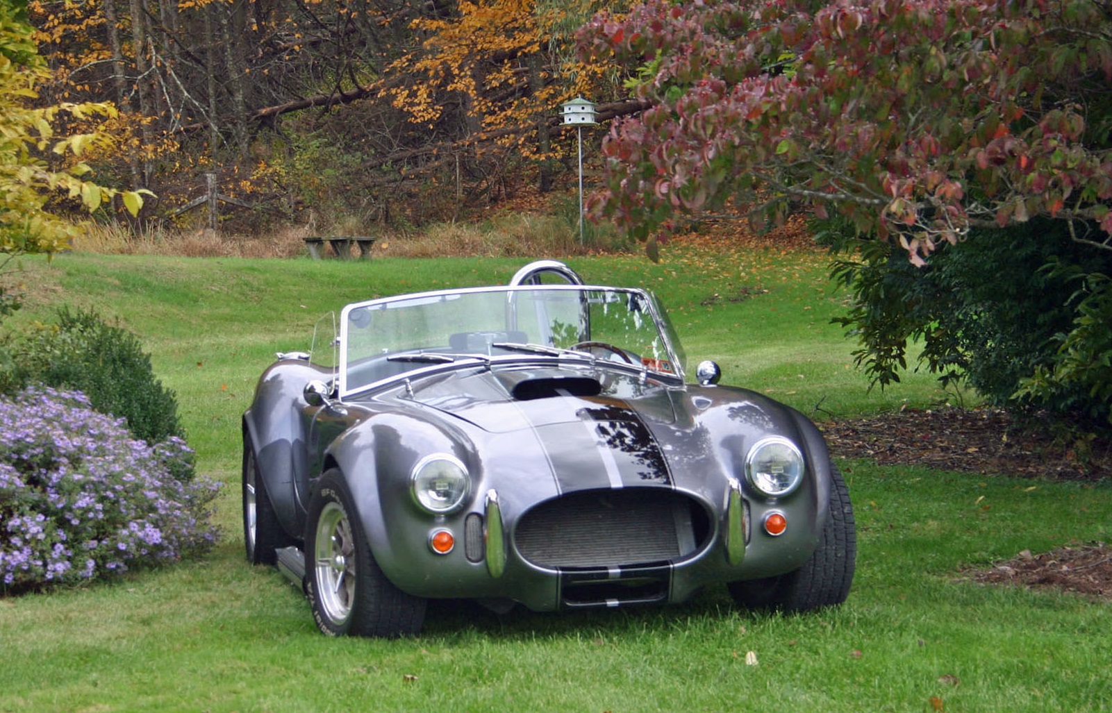 November 2021 - jgb0124