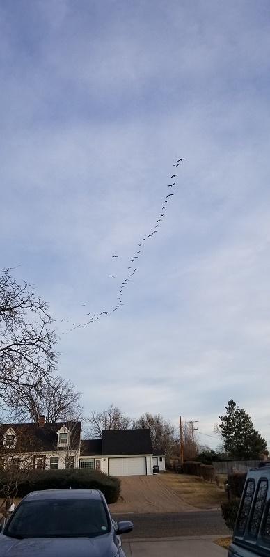 20211128 155311