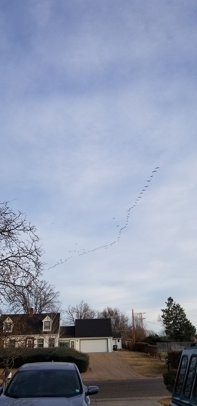 20211128 155313