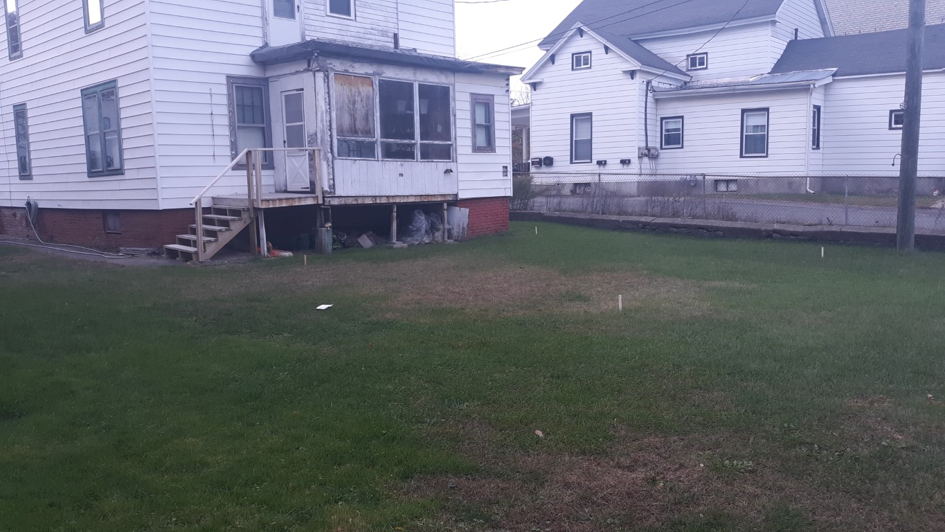 Backyard Nov 2 2021