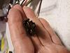 Installation kit electrical plug