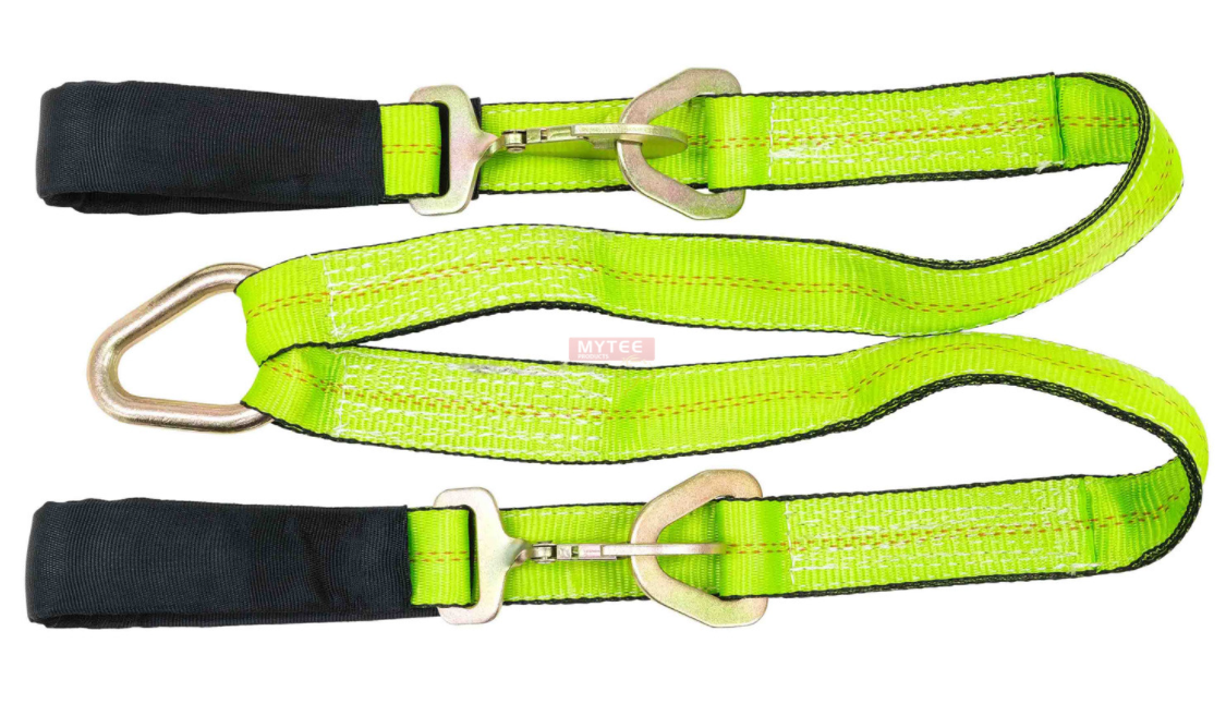 bridle
