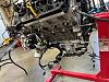IMG 5573