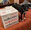 IMG 3980