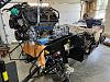IMG 5687