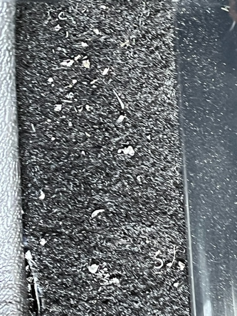 IMG 0022