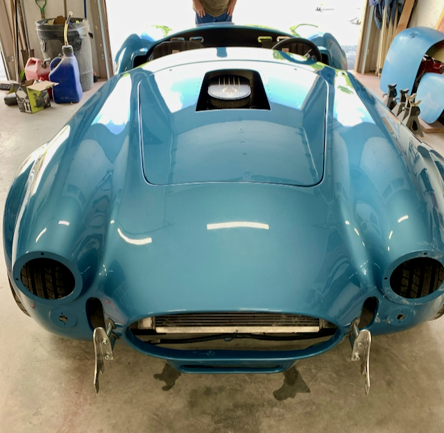 Cobra   4 of 4