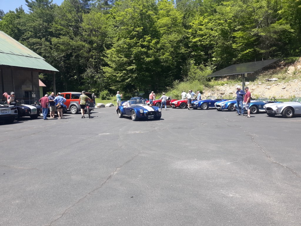 Cobra club