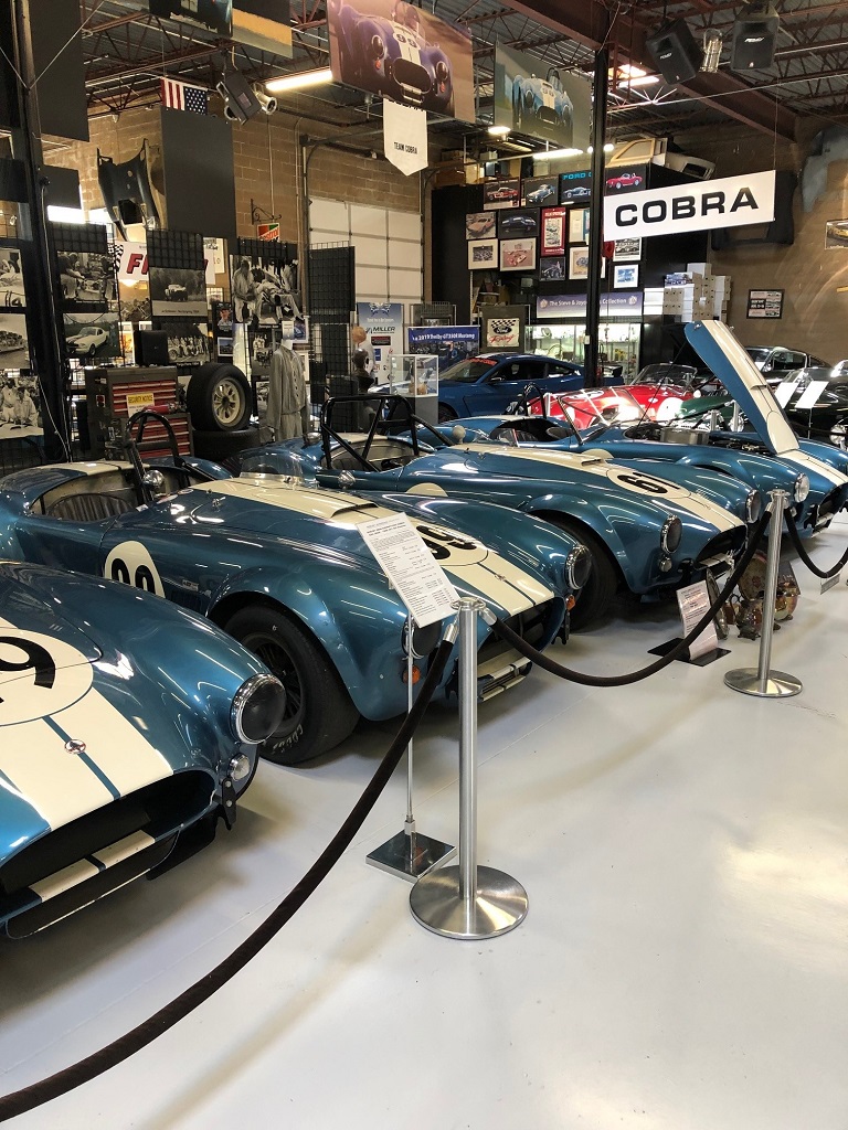 Shelby Museum roadsters