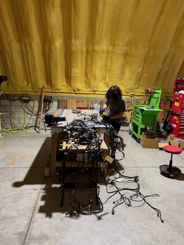 IMG 1394D