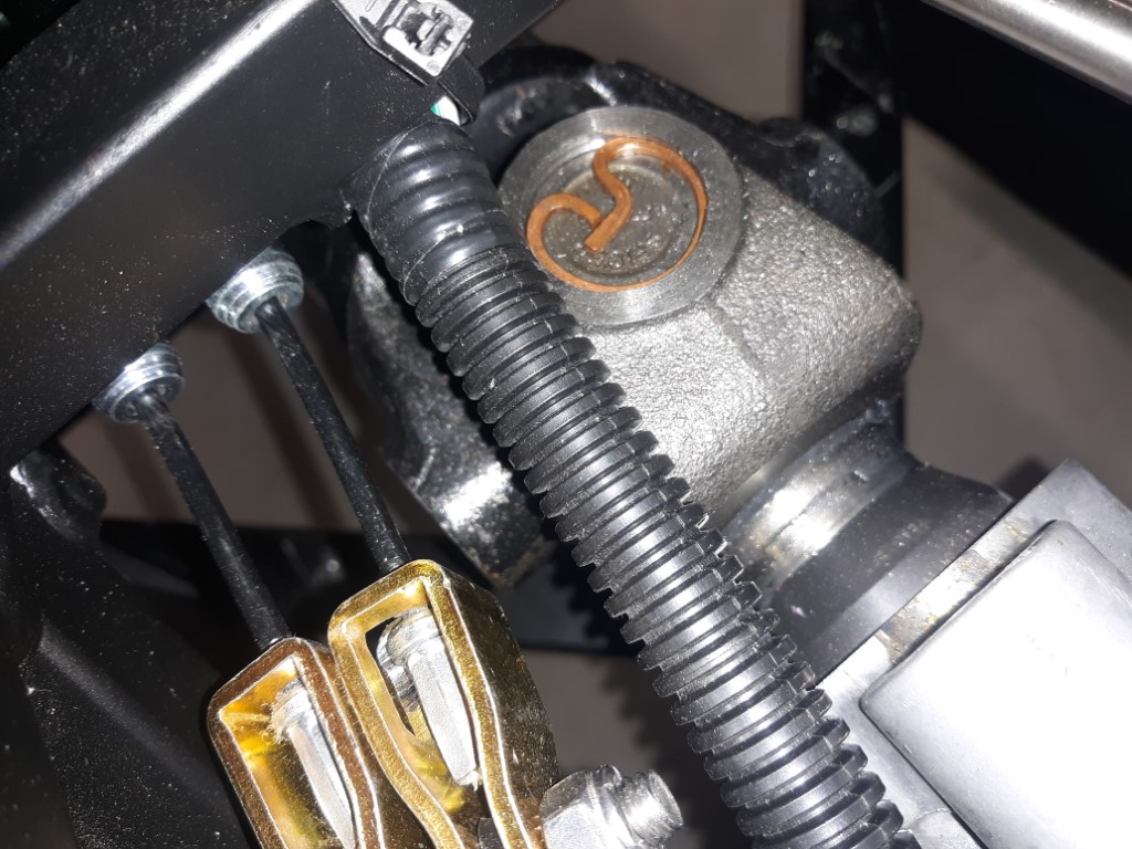 Pinion 4