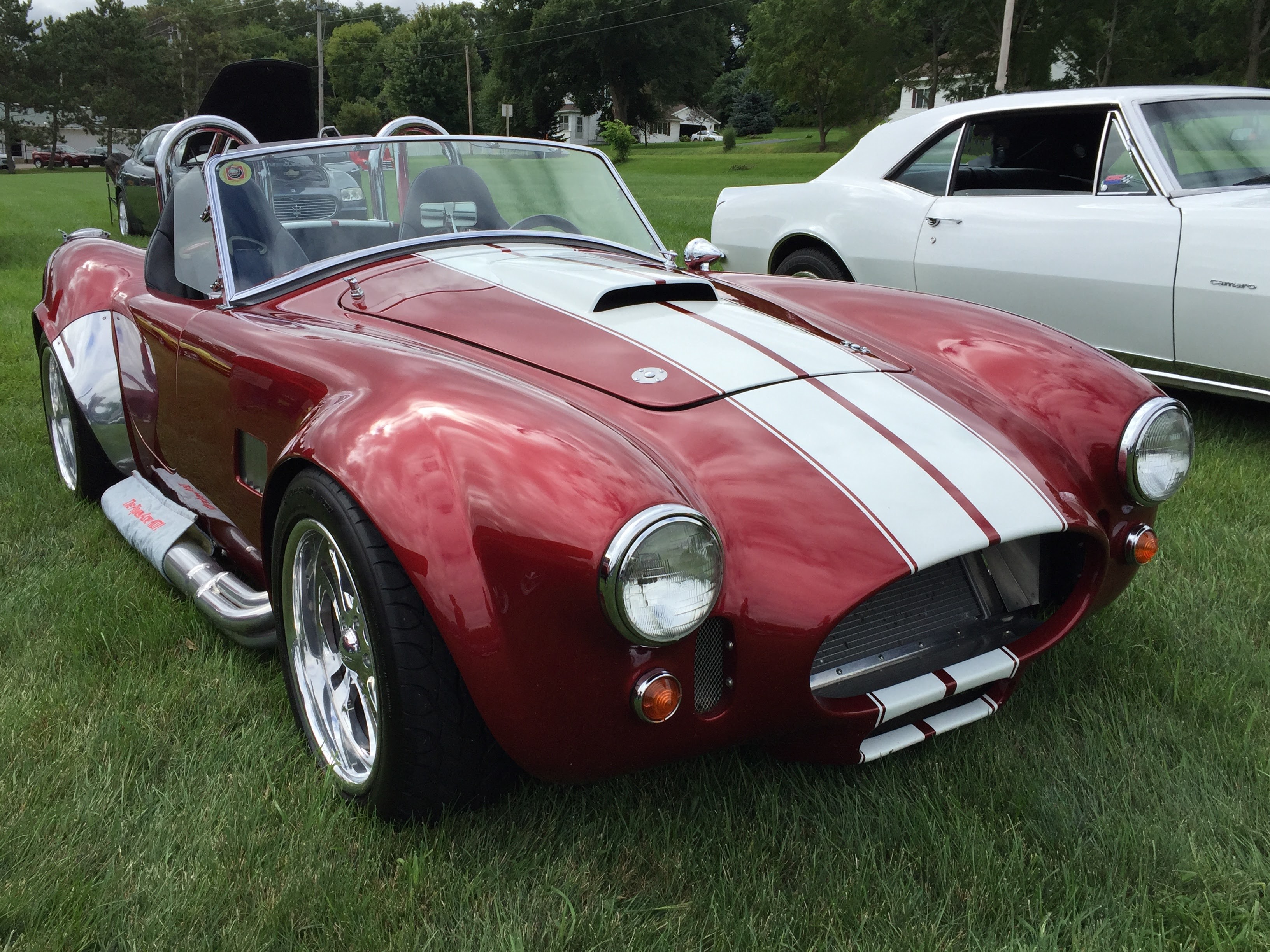 IMG 2489 2.JPG cobra front and right